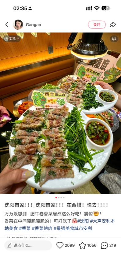 绿野仙踪肉卷-3