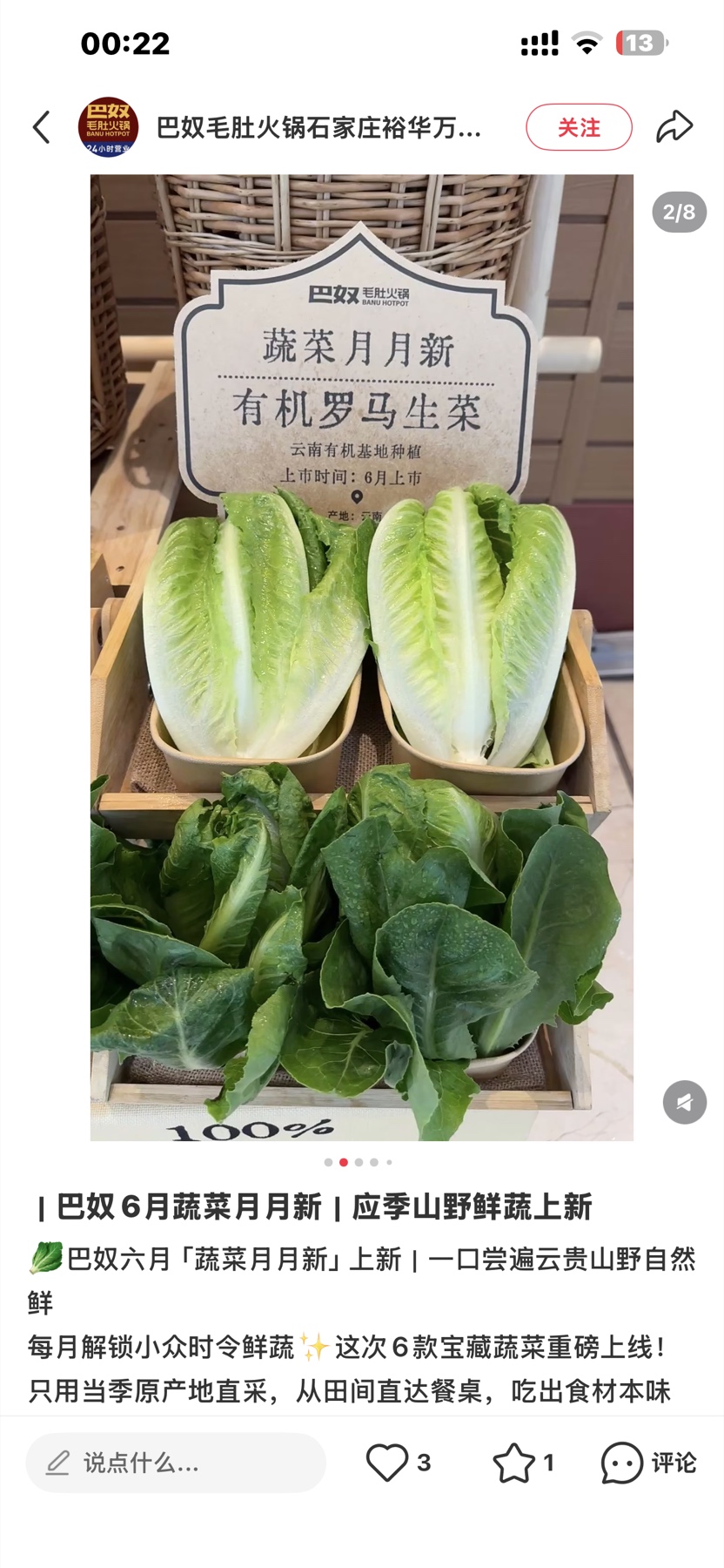 有机罗马生菜